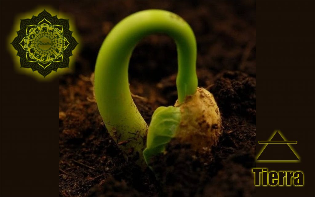 TIERRA—REALIDAD, SENSACIÓN, SENTIDO DE LA REALIDAD    [TAURO, VIRGO, CAPRICORNIO]